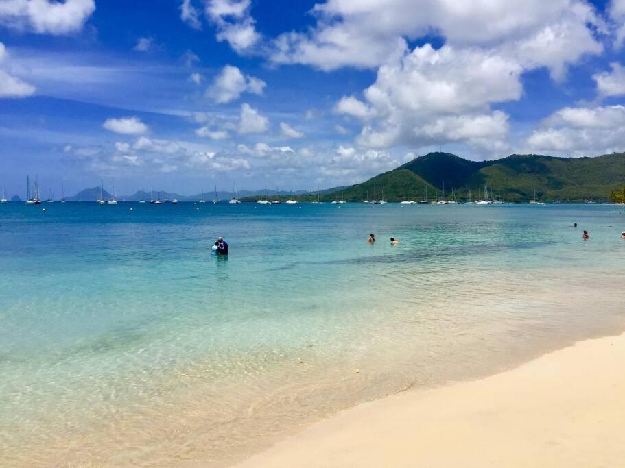 Hamo Cosy Piscine Proche Plage Sainte-Anne Exteriör bild